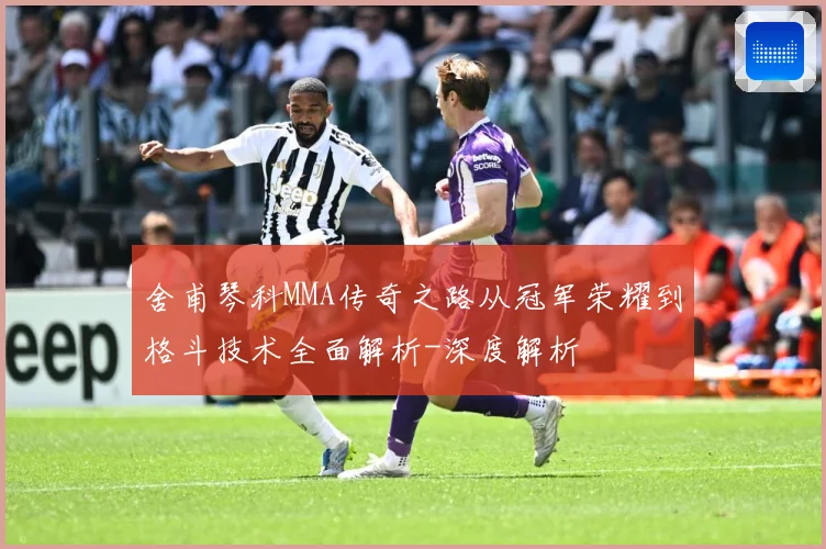 舍甫琴科MMA传奇之路从冠军荣耀到格斗技术全面解析-深度解析