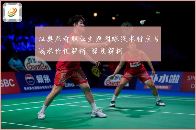 拉奥尼奇职业生涯网球技术特点与战术价值解析-深度解析