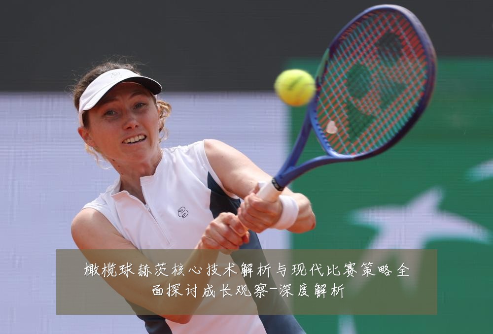 橄榄球赫茨核心技术解析与现代比赛策略全面探讨成长观察-深度解析