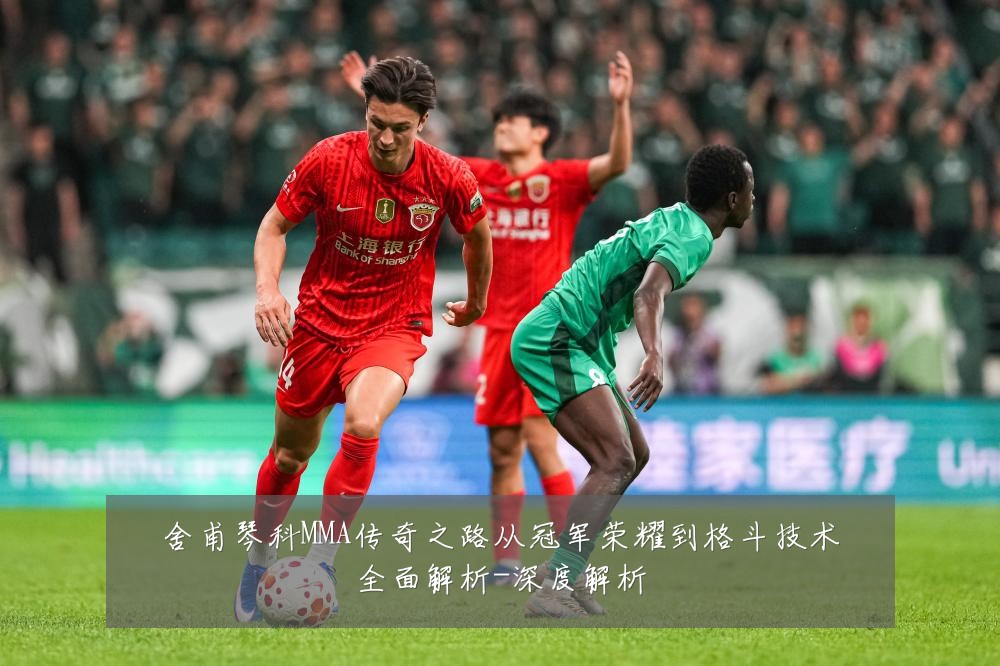 舍甫琴科MMA传奇之路从冠军荣耀到格斗技术全面解析-深度解析