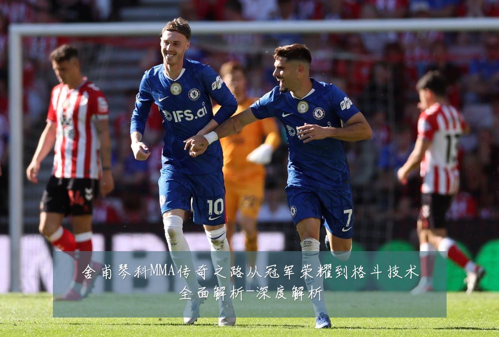 舍甫琴科MMA传奇之路从冠军荣耀到格斗技术全面解析-深度解析